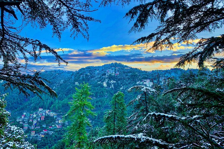Shimla